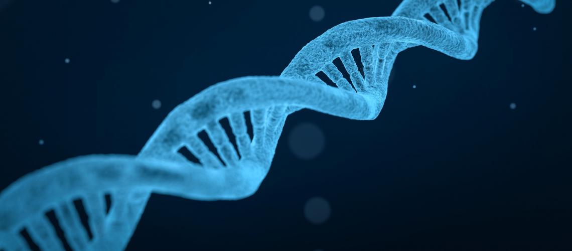 Ingeniería Química