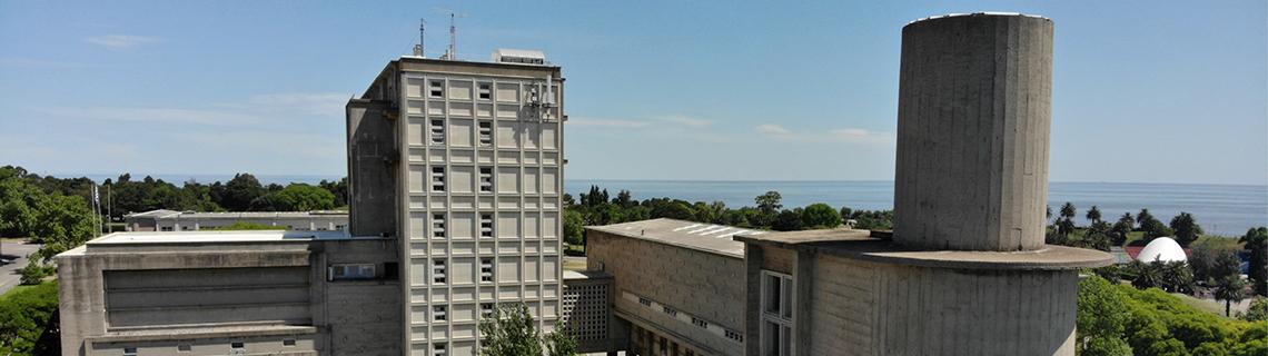 Facultad de Ingeniería